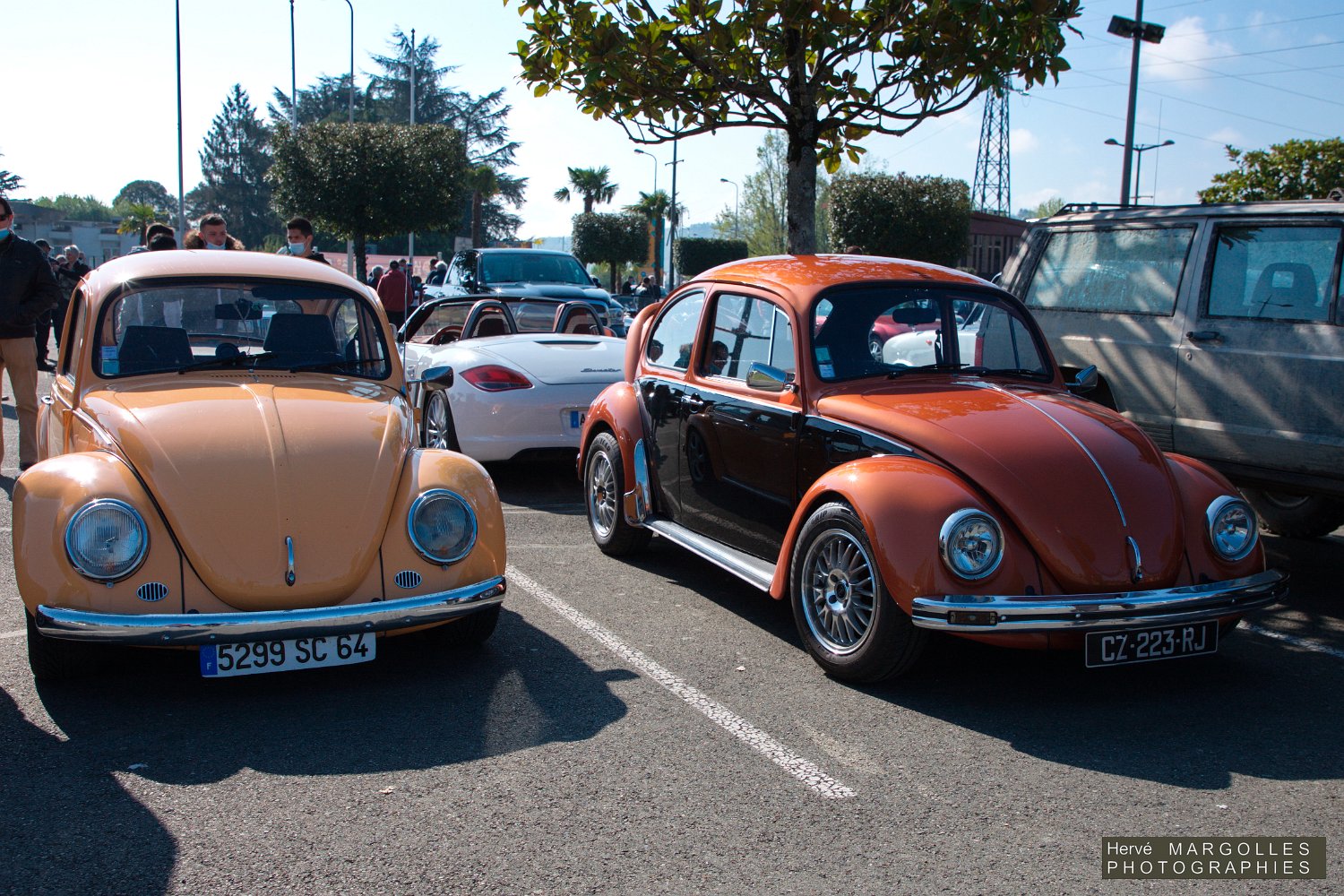 VW Coccinelle-02.jpg